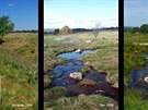 Vývoj obnovy toku erného potoka do pvodního meandrujícího koryta.