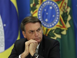 Brazilsk prezident Jair Bolsonaro odmtl daje o odlesovn dodan sttnm...
