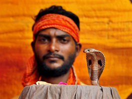 FESTIVAL HAD. Mu pedvádí svého hada, aby získal almunu od hinduistických...