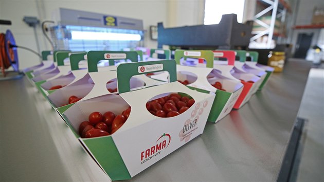 Společnost Farma Kožichovice v něm začne pěstovat rajčata s roční produkcí 1 100 tun.