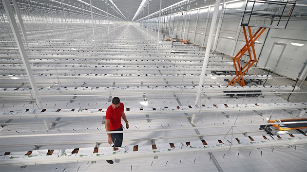 Nejv�t�� sklen�k na Vyso�in� zab�r� plochu p�ti fotbalov�ch h�i��.