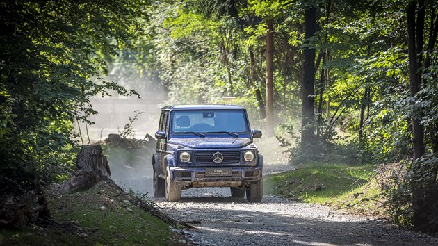 Mercedes-benz tdy G