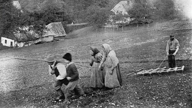 Vláčení dřevěnými bránami zapřaženými lidmi v Mitrovicích (1910)