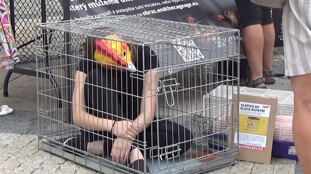 VIDEO: Aktivistka se zavřela do klece, vadí jí zacházení se slepicemi -  iDNES.cz