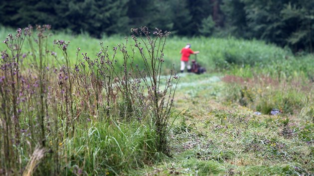 Seki ze Sdruen Krajina, kter peuje o zhruba 170 hektar luk na Vysoin i v Pardubickm kraji, se tento tden vnovali tak lokalit afranice u Slavkovic na Novomstsku.