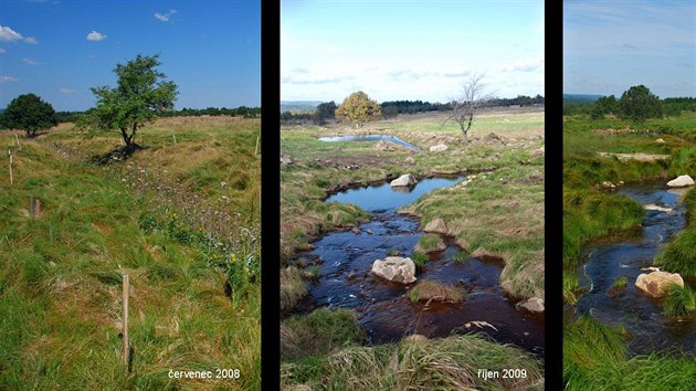 Vývoj obnovy toku Černého potoka do původního meandrujícího koryta.