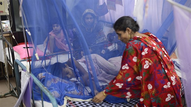 Banglad se potk s nejhor epidemii horeky dengue ve sv historii. Nakazilo se zde pes 15 tisc lid. (6. srpna 2019)