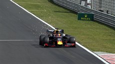 Max Verstappen z týmu Red Bull b�hem kvalifikace na Velkou cenu Ma�arska.