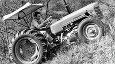 Horský traktor Zetor 3017, rok výroby 1965