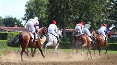 Diskový podmíta� pom��e sní�it pra�nost oranic.