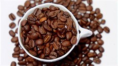 Kávová sedlina je ú�asným hnojivem i odpuzova�em zápachu.