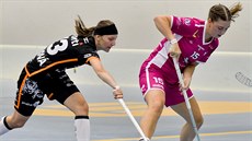 Momentka ze zápasu Malmö FBC - Ivanti Tigers Ji�ní M�sto. Zleva Dominika...