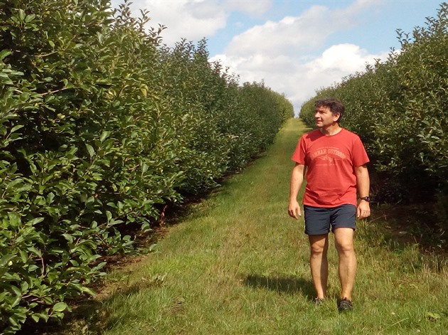 Z odrdy Bohemia nevyrostlo na rodinné farm v Pnín skoro nic. Na prázdné...