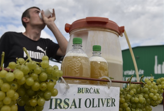 Vinaři mohou začít prodávat burčák. Kvůli mrazům je hlavně z moravských hroznů