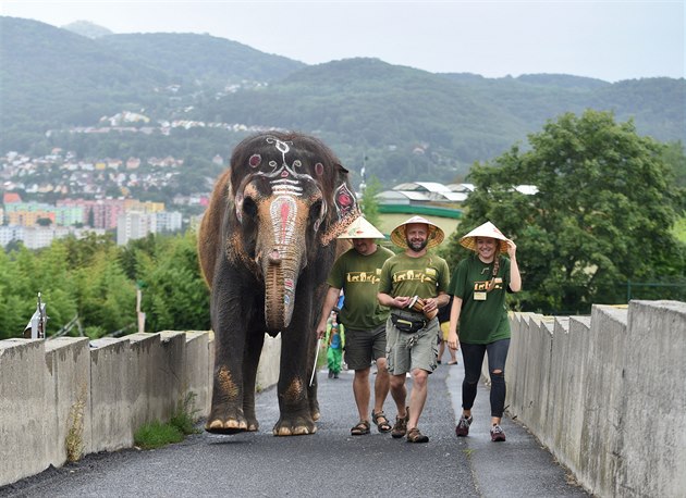 Delhi je asijský slon, narodila se ve Vietnamu a malovali jsme ji takto asi...