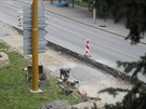 Rekonstrukce páteřní jihlavské silnice se zdržela v krajském městě Vysočiny z...