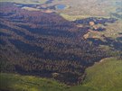 Lesní poáry nií lesy v Krasnojarském kraji na východ Ruska (srpen 2019)