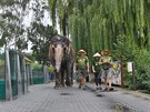 Slonice Delhi se prola mezi nvtvnky, steck zoo tak oslavila Mezinrodn...
