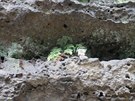 Kamenn mohyly v eskm vcarsku rostou jako houby po deti.