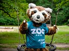 Chomutovsk� zoopark dnes p�edstavil sv�ho nov�ho maskota, je to panda �erven� a...