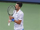 Novak Djokovi v semifinle turnaje v Cincinnati