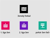 NOV IDENTITA. esk ensk fotbal zmnil loga.