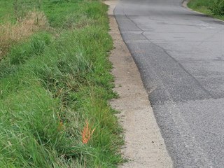 Mezi obcemi Čenkov a Třešť srazilo auto dva chodce, kteří na místě zemřeli (18....