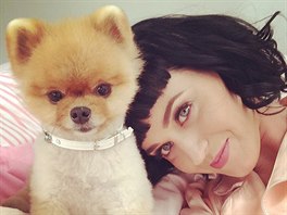 Zpvaka Katy Perry, zatím dti nemá a jejím miminkem je pes. V budoucnu moná...