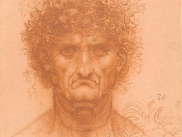 Kresbu Orfea napadeného fúrií vytvoil Leonardo da Vinci kolem roku 1508....