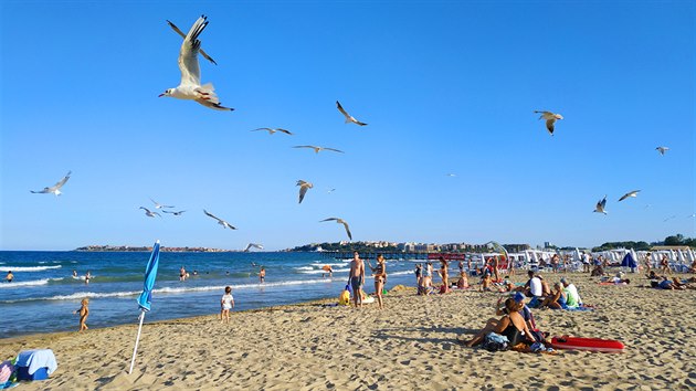 Ple na Slunenm pobe okupuj krom eskch, slovenskch i polskch turist tak racci. (8. srpna 2019)