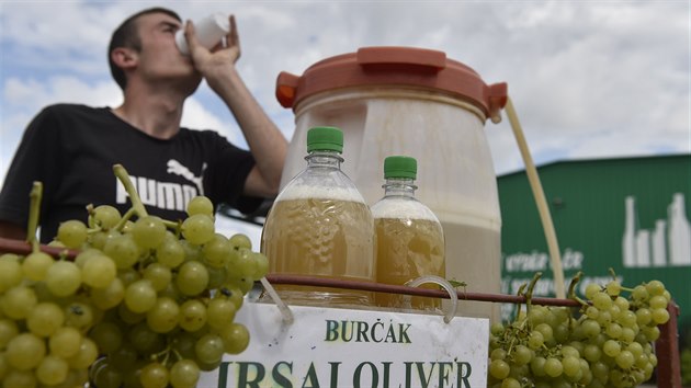 Na jin Morav zaali vinai prodvat burk. Na snmku je stnek u silnice pobl Valtic na Beclavsku, kde burk z vlastnch hrozn odrdy Irsai Oliver vyrb a prodv rodina Miloslava Machui z Valtic.