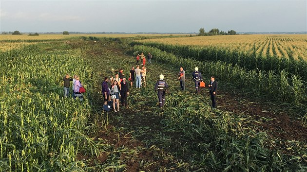 Neekan destinace. Pasai ruskho letadla se bezradn rozhlej v kukuinm poli, kde nouzov pistl jejich spoj po srce s hejnem ptk. Jsou mezi nimi i zasahujc hasii. (15. 08. 2019)