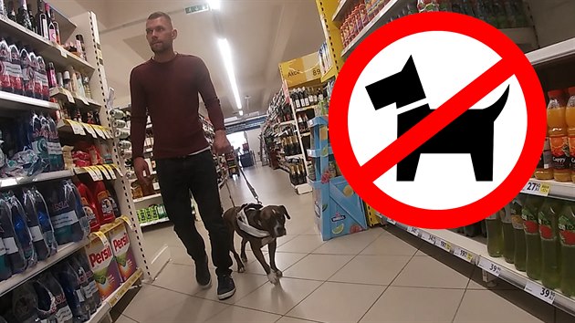 Nový fígl. Češi vydávají své psy za asistenční a mohou s nimi kamkoliv -  iDNES.cz