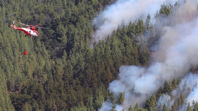 V akci je nyn pes dvacet hasicch vrtulnk hascch lesy kolem Ardenary. (11. srpna 2019)