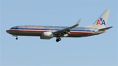 Boeing 737-800 spolenosti American Airlines