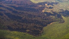 Lesní poáry nií lesy v Krasnojarském kraji na východ Ruska (srpen 2019)