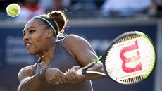 Serena Williamsová v semifinále turnaje v Torontu.