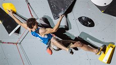 Adam Ondra na mistrovství svta v japonském Haiodi.