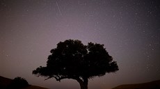 Jeden z meteorů z roje Perseidy u městečka Micpe Ramon v Izraeli.