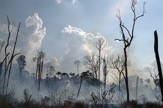 Následky poár v brazilské Amazonii. (25. srpna 2019)