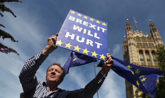 Mu, který protestuje proti Brexitu drí v ruce ceduli s nápisem Brexit bude...