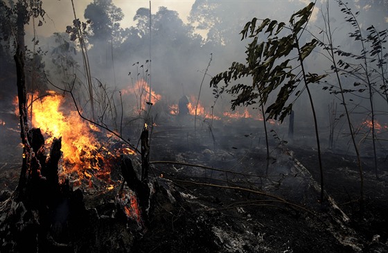 V amazonském detném pralese zuí poáry. (26. srpna 2019)