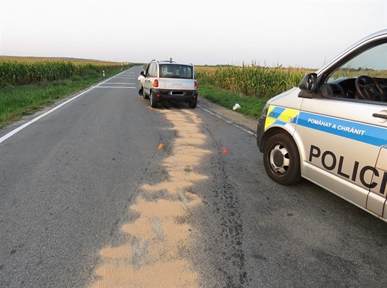Policie pátrá po idii multiply, který utekl od váné nehody na Znojemsku.