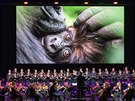 Zábr z pedstavení National Geographic: Symphony for Our World