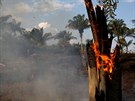 Požár v amazonské džungli (20. srpna 2019)