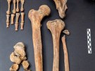 Archeologov� na�li v Kopidln� kostru keltsk� �eny.