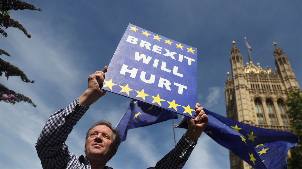 Muž, který protestuje proti Brexitu drží v ruce ceduli s nápisem „Brexit bude...