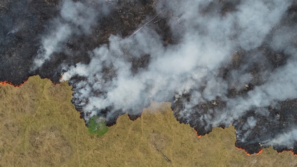V amazonském de�tném pralese zu�í po�áry. (26. srpna 2019)