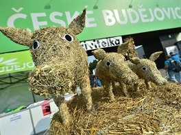 Mezinárodní agrosalon Zem ivitelka (24. srpna 2019)