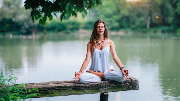 Meditace si p�iosvojil byznys.